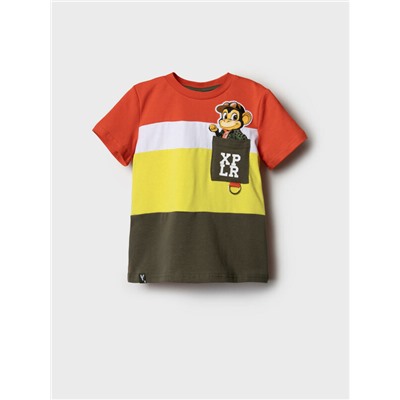 Фуфайка трикотажная для мальчиков (футболка)