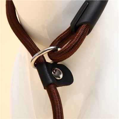 Ринговка для собак, 130×0.6 см, коричневая