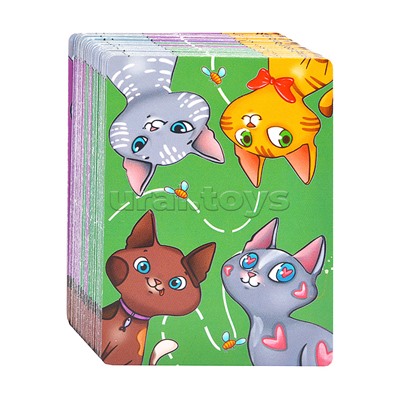 Компакт. Котокомбо