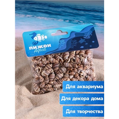 Набор ракушек, 1 - 2 см, 100 г