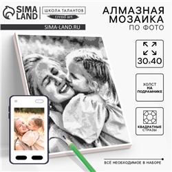 Алмазная мозаика по фото, на раме 30×40, полное заполнение, Gray