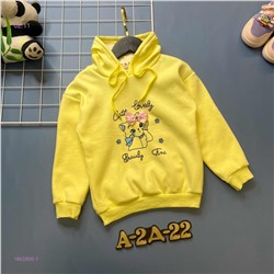 Кофта с начесом 1842900-1