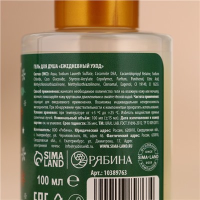 Подарочный набор «Снегопад чудес»: гель для душа и пена для ванны, 2×100 мл, URAL LAB