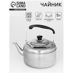 Чайник со свистком, 5 л, нержавеющая сталь, хромированный
