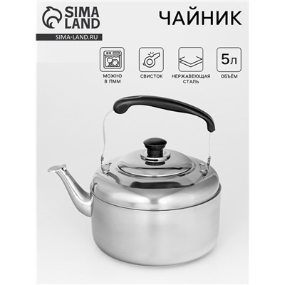 Чайник со свистком, 5 л, нержавеющая сталь, хромированный
