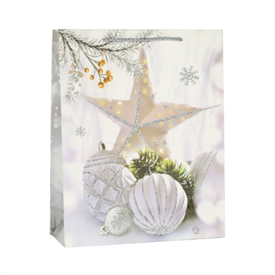 Пакет подарочный 18х24х8,5 / 107-1S /уп 12/720/Новый год