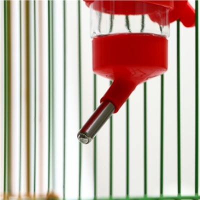 Поилка для грызунов Пижон FRIENDS, 125 мл, 12.5×4.5 см, красная