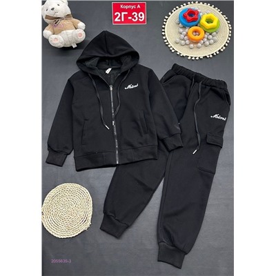 костюм с начесом 2055635-3