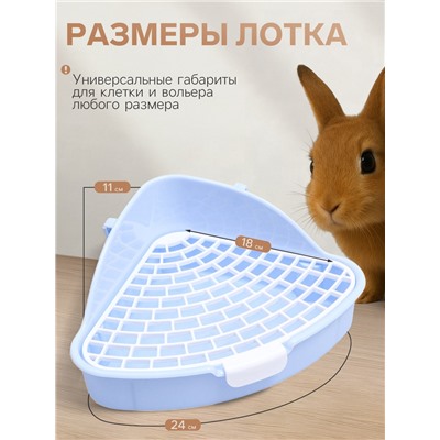 Туалет для кроликов и хорьков «Пижон», 24×18×11 см, угловой, пластик, синий
