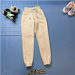 Штаны 1981334-1