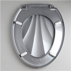 Сиденье для унитаза «Ракушка», 44.5×37 см, с крышкой, серебристый перламутр
