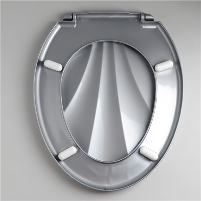 Сиденье для унитаза «Ракушка», 44.5×37 см, с крышкой, серебристый перламутр
