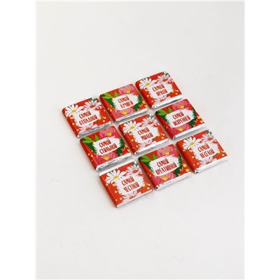 Шоколад мини молочный «Любимой сестре», 45 г (9 шт. × 5 г).