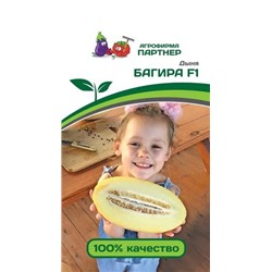3017P Дыня БАГИРА F1 5 шт