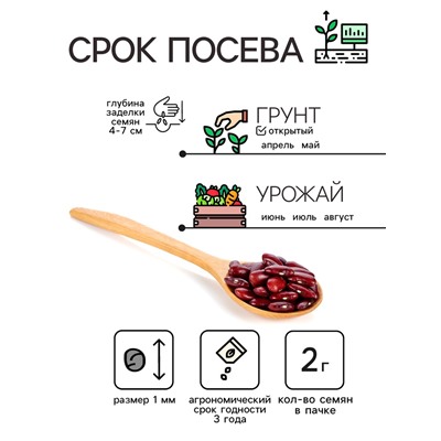 Семена Бобы "Русские черные", 2 г