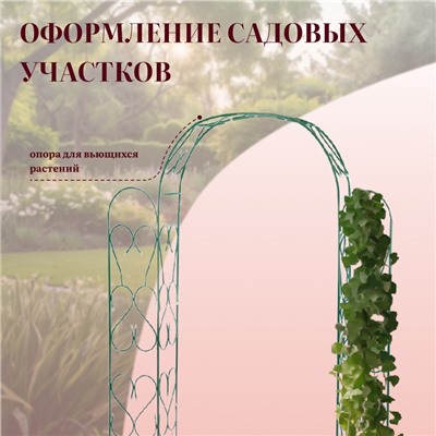 Арка садовая, 230×125×36.5 см, для вьющихся растений, металлическая, зелёная