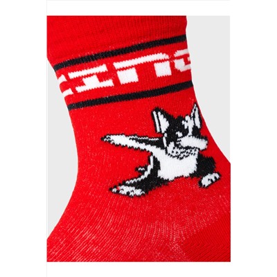 Носки трикотажные для мальчиков, 3 пары в комплекте PLAYTODAY, 1239789