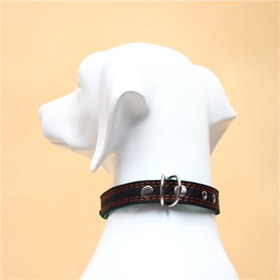 Ошейник кожаный усиленный капроном с полукольцом, 55×2.5 см, ОШ 27-53 см, чёрный