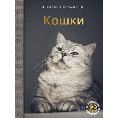 АСТ Николай Непомнящий "Кошки"