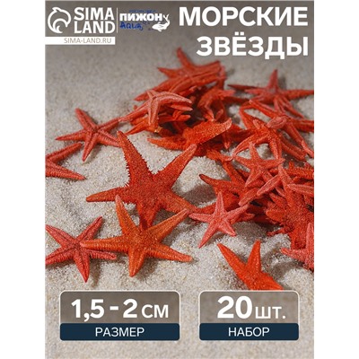 Набор натуральных морских звезд, 1,5-2 см, 20 шт, красный