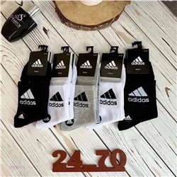 Носки мужские 10 пар 1721863-1