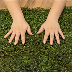 Декоративная панель, 90×40 см, «Ряска», Greengo