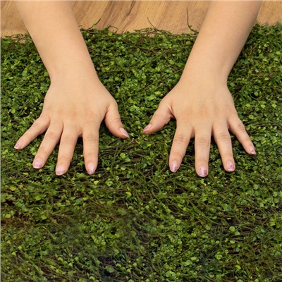 Декоративная панель, 90×40 см, «Ряска», Greengo