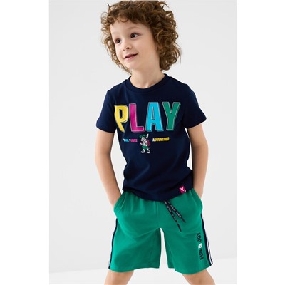 Шорты трикотажные для мальчиков, 2 шт в комплекте PLAYTODAY, 1239595