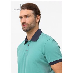 RP-035 (Футболка-поло мужская, PanteLemone )