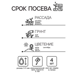 Семена цветов Пеларгония "Бланка ", ц/п,  зональная, F1, 4 шт