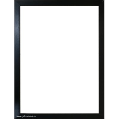 Рамка для картины на холсте 30х40 / ZR208B-208 /