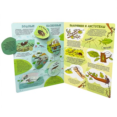Энциклопедия с окошками (ЦК) Моя первая книга о насекомых