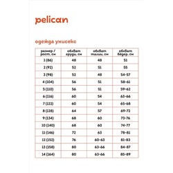 Брюки PELICAN, 1032740