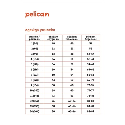 Брюки PELICAN, 1032741