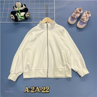 Толстовка 1981364-1