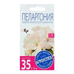 Семена комнатных цветов Пеларгония "Эйплблоссом", 4 шт.