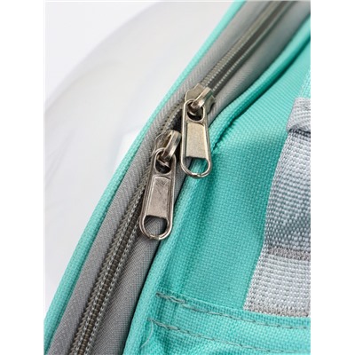 Рюкзак для переноски животных, 31×28×42 см, прозрачный, бирюзовый