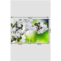 Фотошторы 10854 НАТАЛИ, 926519