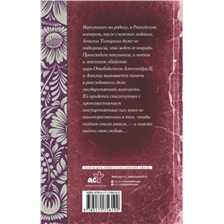 АСТ Валерия Вербинина "Амалия и Александр"