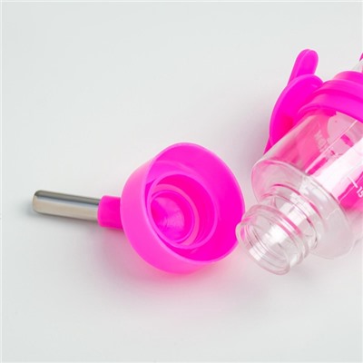 Поилка для грызунов «Пижон», 80 мл, розовая