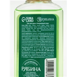 Подарочный набор новогодний: гель для душа 2 шт. х100 мл, мочалка для тела, аромат яблоко и глинтвейн, URAL LAB