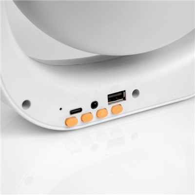 Световой прибор «Караоке» 20 см, динамик, микрофон, 5 В, свечение RGB