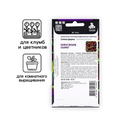 Семена цветов Колеус Визард Скарлет, 10шт