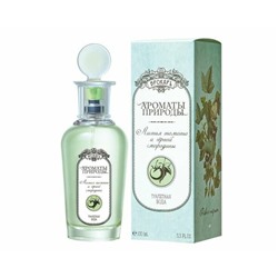 BROCARD ЛИСТЬЯ ТОМАТА И ЧЕРНОЙ СМОРОДИНЫ edt (w) 100ml