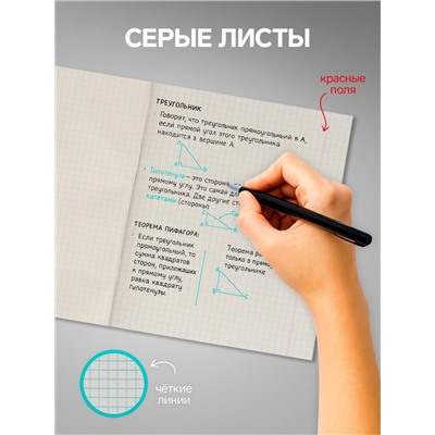 Комплект тетрадей из 5 штук (4 разные + 1 повторяющаяся), 48 листов в клетку Calligrata "Мыльные пузыри", обложка мелованная бумага, блок №2, белизна 75% (серые листы)