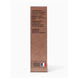 Туалетная вода мужская New Scent Golden World, 100 мл