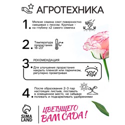 Семена  Эустома "Эйбиси" F1 роуз рим крупноцветковая махровая, 5 шт.