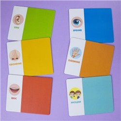 Лото Развивающее "Органы чувств и эмоции" 158х130мм 6 полей 36 фишек коробка (093416) 35311 Хатбер