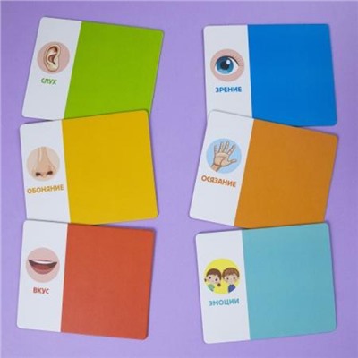 Лото Развивающее "Органы чувств и эмоции" 158х130мм 6 полей 36 фишек коробка (093416) 35311 Хатбер
