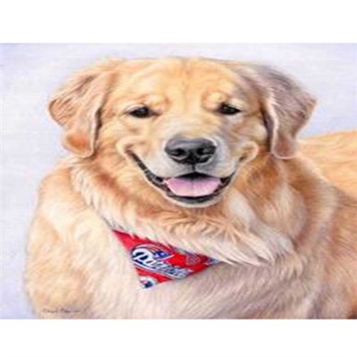 Алмазная мозаика на подрамнике 40x50 Верный друг / GA73980 /уп 30/полное заполнение